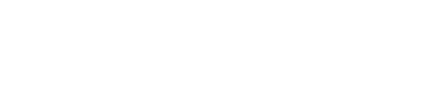 FTS Software, Inc.